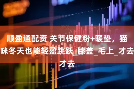 顺盈通配资 关节保健粉+暖垫，猫咪冬天也能轻盈跳跃_膝盖_毛上_才去