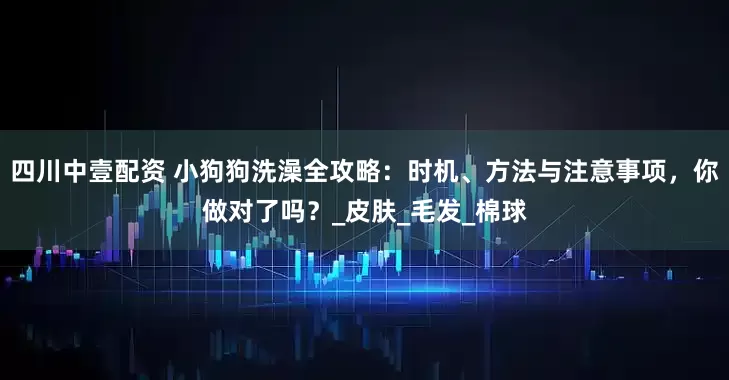 四川中壹配资 小狗狗洗澡全攻略：时机、方法与注意事项，你做对了吗？_皮肤_毛发_棉球