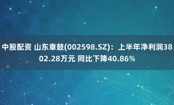 中股配资 山东章鼓(002598.SZ)：上半年净利润3802.28万元 同比下降40.86%
