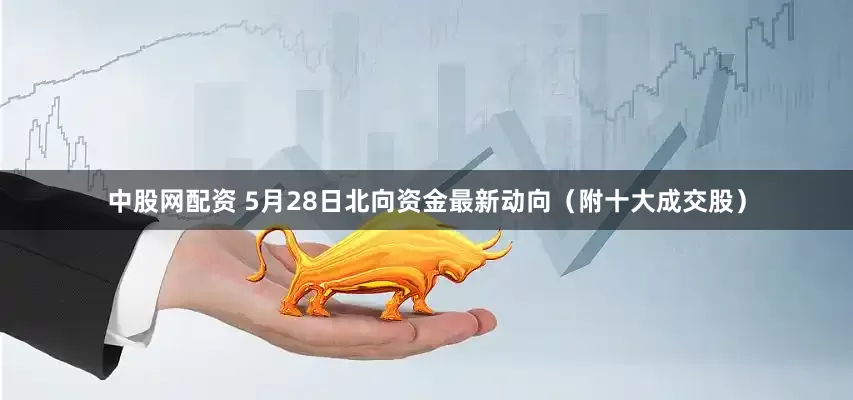 中股网配资 5月28日北向资金最新动向（附十大成交股）