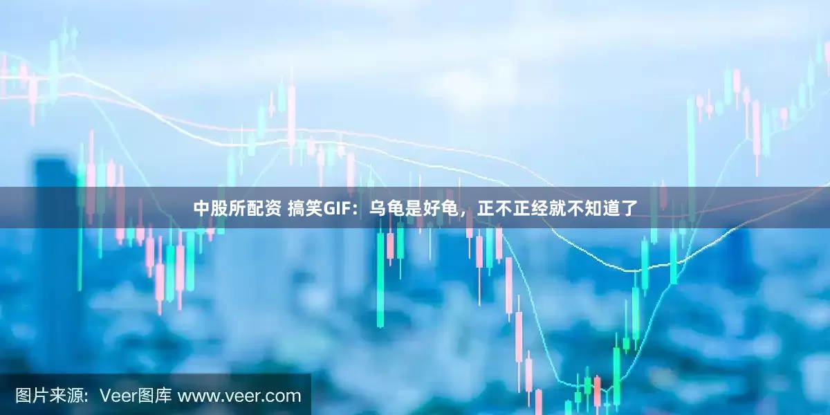 中股所配资 搞笑GIF：乌龟是好龟，正不正经就不知道了