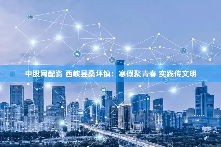 中股网配资 西峡县桑坪镇：寒假聚青春 实践传文明